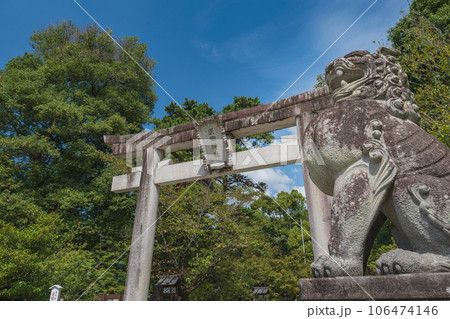 山梨 武田神社（躑躅ヶ崎館跡）一ノ鳥居 106474146
