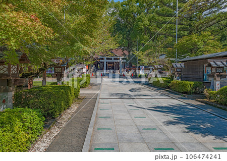 山梨 武田神社（躑躅ヶ崎館跡）参道の風景 106474241