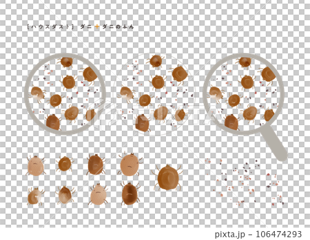 水彩風格蜱蟲和糞便的放大插圖,輕柔的觸感 水彩風格蜱蟲和糞便的放大插圖,輕柔的觸感 106474293