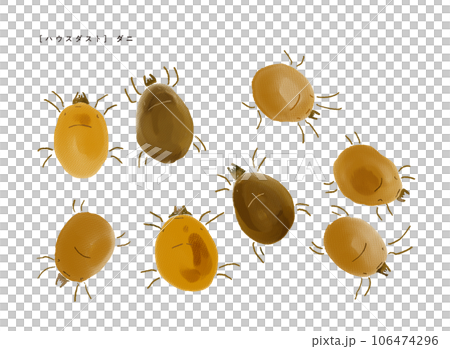 Dust mite Illustration with a gentle touch in watercolor style ・Causes of house dust 106474296