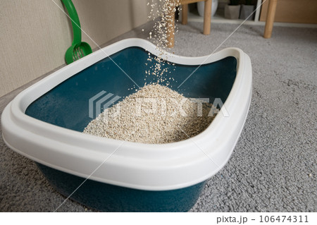 Pouring bentonite clumping filler into the litter box toilet for the cat 106474311