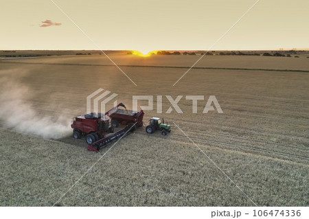 Wheat harvest in the Argentine countryside, La Pampa province, Patagonia, Argentina. 106474336