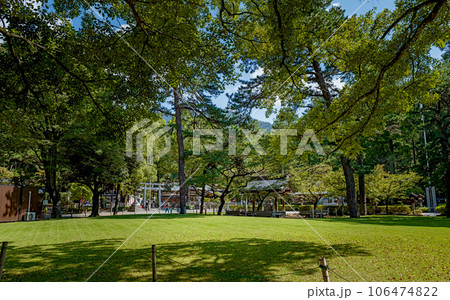 山梨 武田神社（躑躅ヶ崎館跡）境内の夏景色 106474822