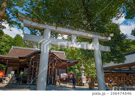山梨 武田神社（躑躅ヶ崎館跡）二の鳥居と拝殿 106474846