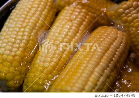 Home cooking boiled corn in a saucepan. Lots of sweet, tasty and boiled corn. 106474849