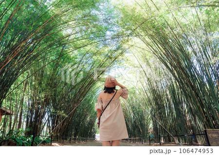 Young asian woman wearing hat standing in bamboo forest at countryside 106474953