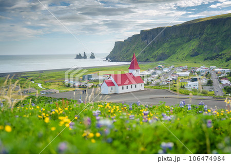 Reyniskirkja church and Vik i Myrdal with colorful flower blooming in Vik town at Iceland 106474984