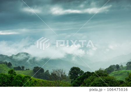 View of foggy on mountain in tropical rainforest at the morning View of foggy on mountain in tropical rainforest at the morning 106475016