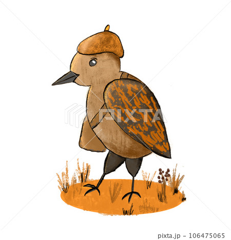 Hand drawn illustration of cartoon fall autumn bird in orange brown grass. British english birding, nature animal species, biology zoology, common europe habitat, bright fauna natural design, funny 106475065