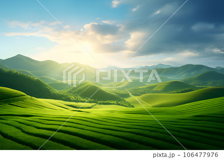 vast field of green grass in the afternoon sun Generative AI 106477976