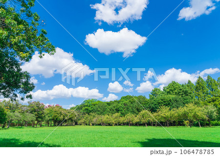 青空の芝生広場・公園 イメージ 106478785
