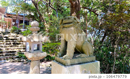 福岡市東区志賀島の志賀海神社 福岡市東区志賀島の志賀海神社 106479779