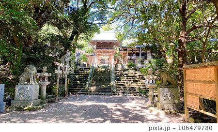 福岡市東区志賀島の志賀海神社 福岡市東区志賀島の志賀海神社 106479780