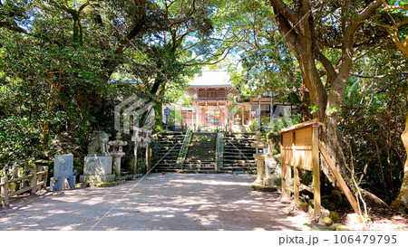 福岡市東区志賀島の志賀海神社 福岡市東区志賀島の志賀海神社 106479795