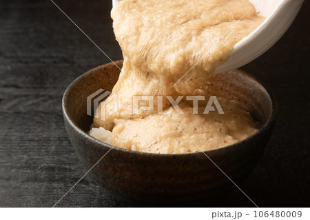 とろろ汁ご飯 とろろ汁ご飯 106480009