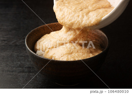 とろろ汁ご飯 106480010