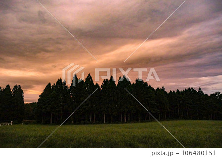 雨上がりに小岩井農場に広がるピンクの夕焼け 106480151