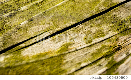 木目が特徴的な古木 木目が特徴的な古木 106480609