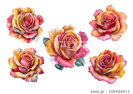 Set of hand drawn pink rosesのイラスト素材 [106480811] - PIXTA