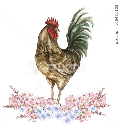 Watercolor flowers and rooster composition. Hand drawn illustration of a farm. Perfect for wedding invitation, greetings card, posters. Watercolor flowers and rooster composition. Hand drawn illustration of a farm. Perfect for wedding invitation, greetings card, posters. 106481102