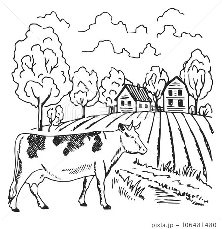 Countryside landscape with cow. Farm sketch. Rural drawing 106481480