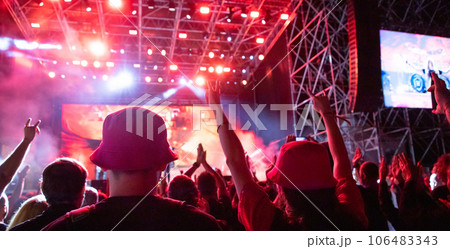 crowd at concert - summer music festival. 106483343