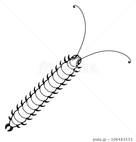 Centipede icon. Black line wild insect drawing 106483533