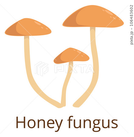 Honey fungus color icon. Growing forest mushroom 106483602