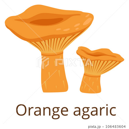 Orange agaric fungus. Forest mushroom color icon 106483604
