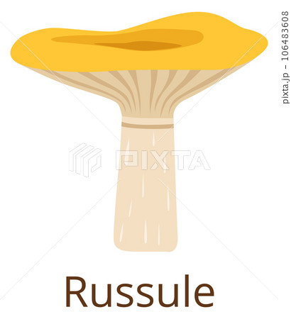 Russula mushroom color icon. Autumn forest fungus 106483608
