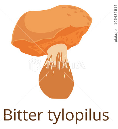Bitter tylopilus icon. Color mushroom. Forest fungus 106483615