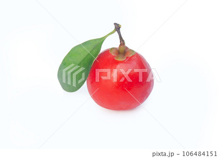 Garcinia cowa Roxb Fruit, Madan red isolated on white background with clipping path . 106484151