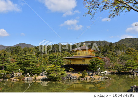 日本の春の京都　世界遺産の金閣寺　金色に輝く舎利殿　美しい青空と鹿苑寺庭園　岩に佇む大きな鳥 106484895