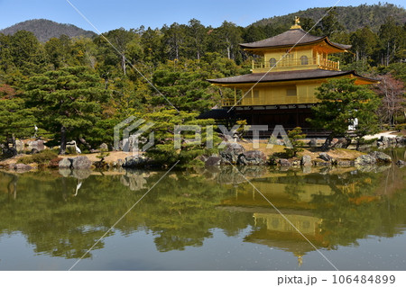 日本の春の京都　世界遺産の金閣寺　金色に輝く舎利殿　美しい青空と鹿苑寺庭園　岩に佇む大きな鳥 106484899