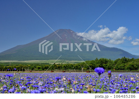 富士山 106485286
