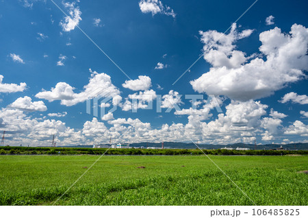 夏の淀川河川公園風景 夏の淀川河川公園風景 106485825