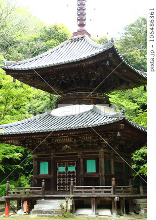 伽耶院　新緑の多宝塔 106486361