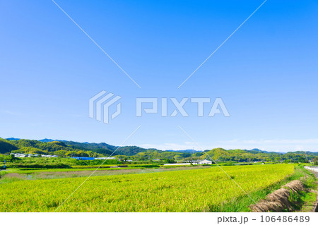 【大阪府】9月・青空の田園と田舎の風景 106486489
