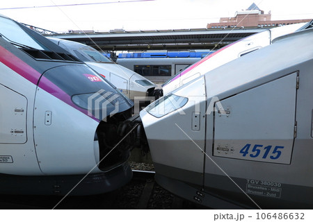 駅に並ぶフランスのTGV,連結部分 106486632