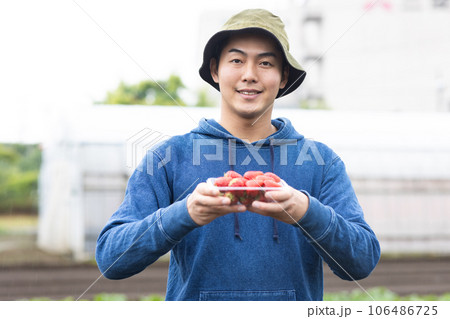 いちごを育てる若い男性 いちごを育てる若い男性 106486725