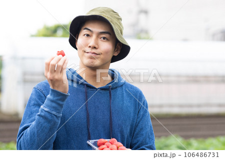 いちごを育てる若い男性 106486731