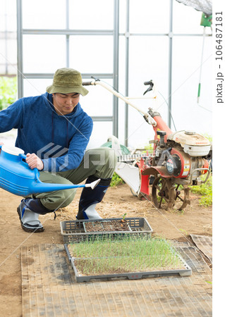 農業従事者の男性 農業従事者の男性 106487181