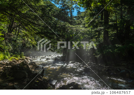 夏の上高地から槍ヶ岳の風景 夏の上高地から槍ヶ岳の風景 106487657
