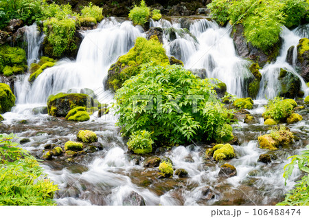 初夏の羊蹄山の伏流水がほとばしる京極町の京極町ふきだし公園 106488474