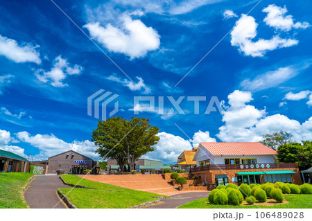 マザー牧場 106489028