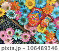 金井神社の花手水 106489346