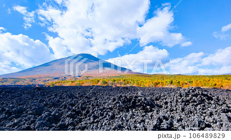 焼走り熔岩流と岩手山(秋) 焼走り熔岩流と岩手山(秋) 106489829