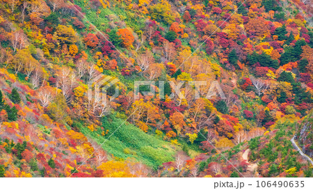 秋の安達太良山登山:くろがね小屋付近の紅葉 秋の安達太良山登山:くろがね小屋付近の紅葉 106490635