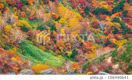 秋の安達太良山登山:くろがね小屋付近の紅葉 秋の安達太良山登山:くろがね小屋付近の紅葉 106490641