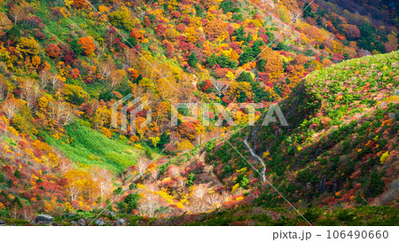 秋の安達太良山登山：くろがね小屋付近の紅葉 106490660